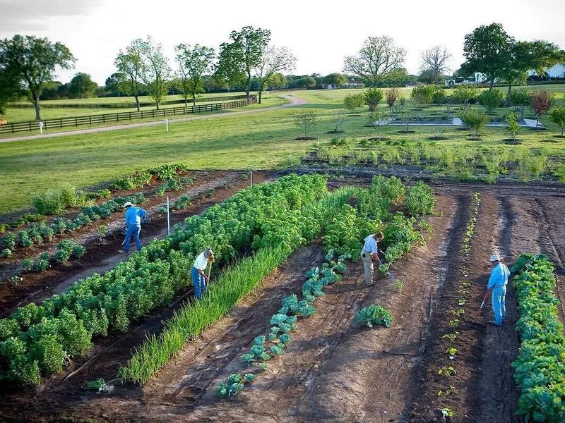 Farm Dos Brisas