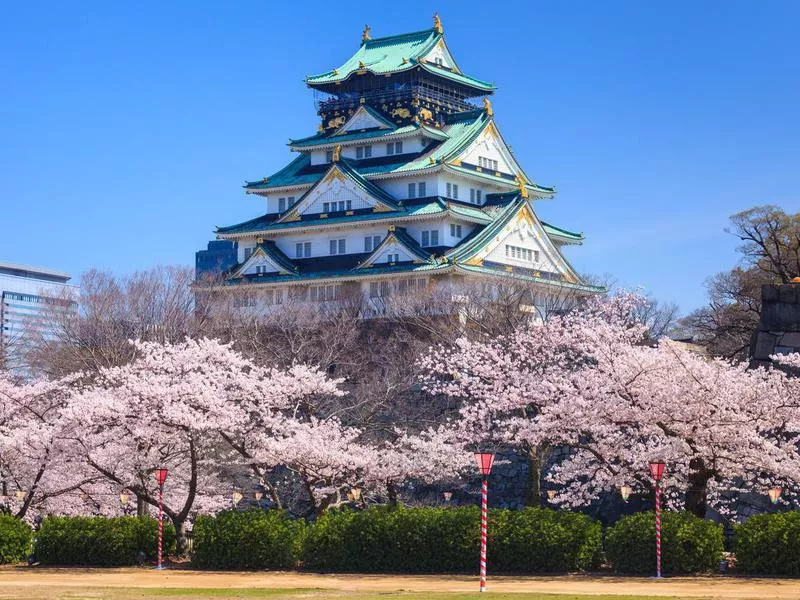 Osaka Castle in cherry blossom season in Osaka, Japan