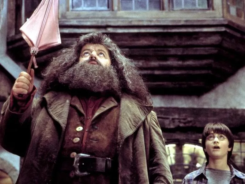 Hagrid and Harry Potter in 