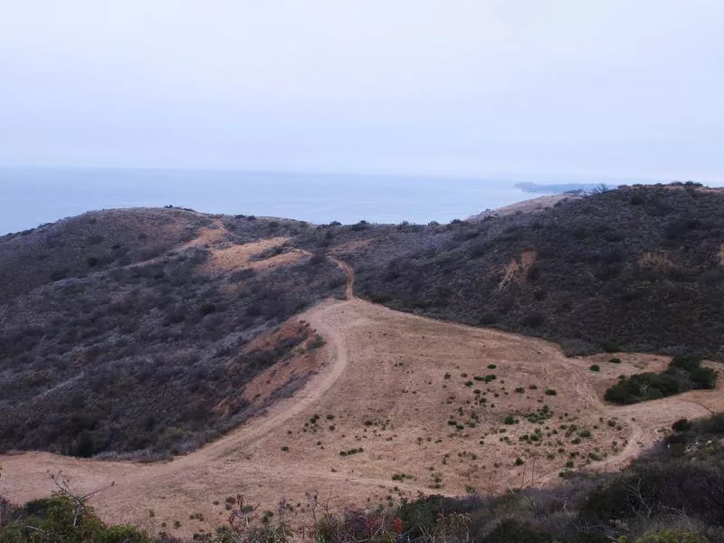 Cameron Nature Preserve